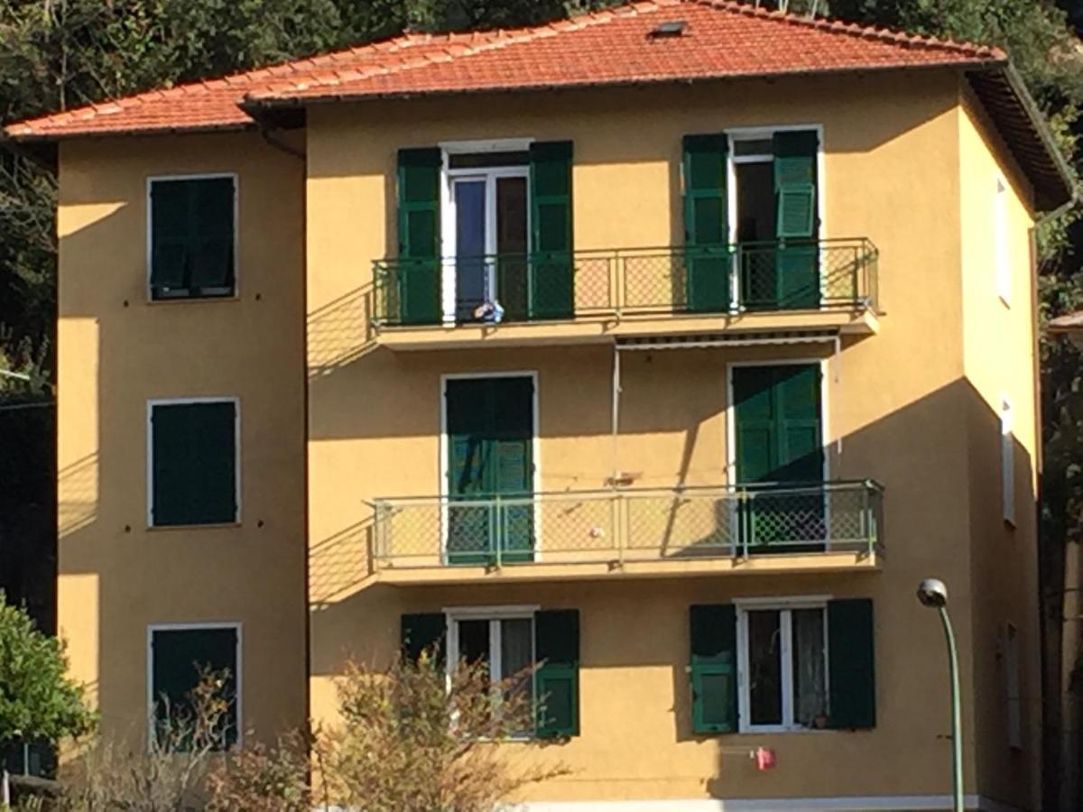 Celtic House B&B 瓦拉泽 外观 照片